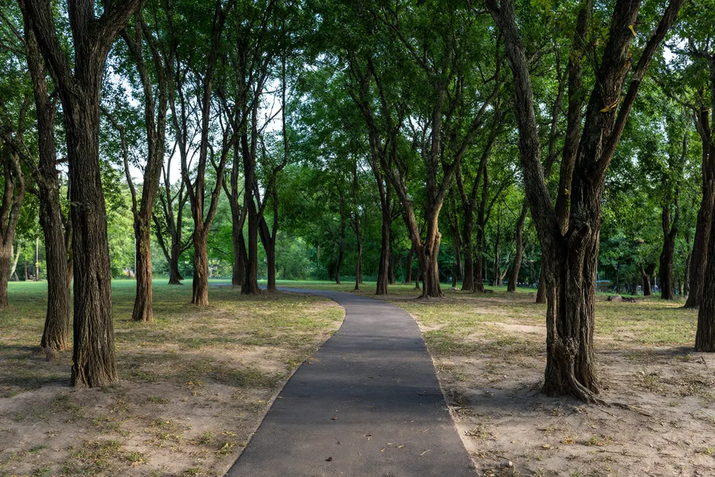 Green space: the city's quiet infrastructure
