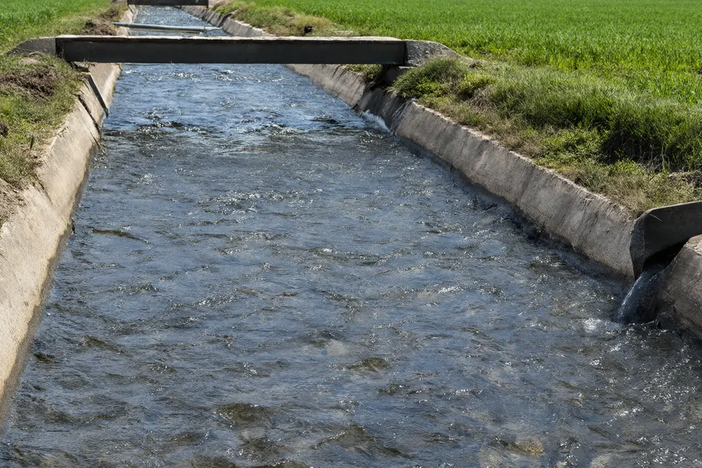 Canal irrigation: how water reaches the fields