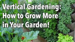 Image result for vertical garden ludhiana