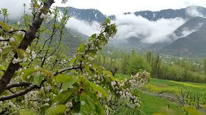 Distt admin Bandipora holds special training for poll staff