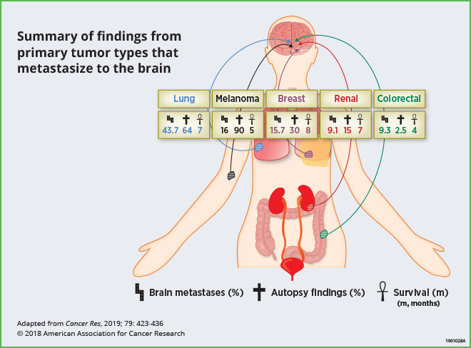 New post on CANCER RESEARCH Catalyst New post on CANCER RESEARCH Catalyst