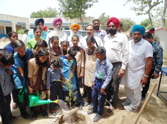 To commemorate 550th Birth Anniversary of Guru Nanak Dev Ji, 4.60 lac saplings to be planted in Ferozepur