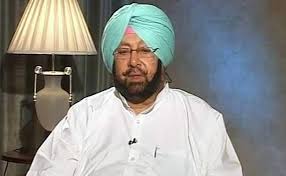 Amarinder orders to conduct inquiry into death of cattles in SAS Nagar Village 