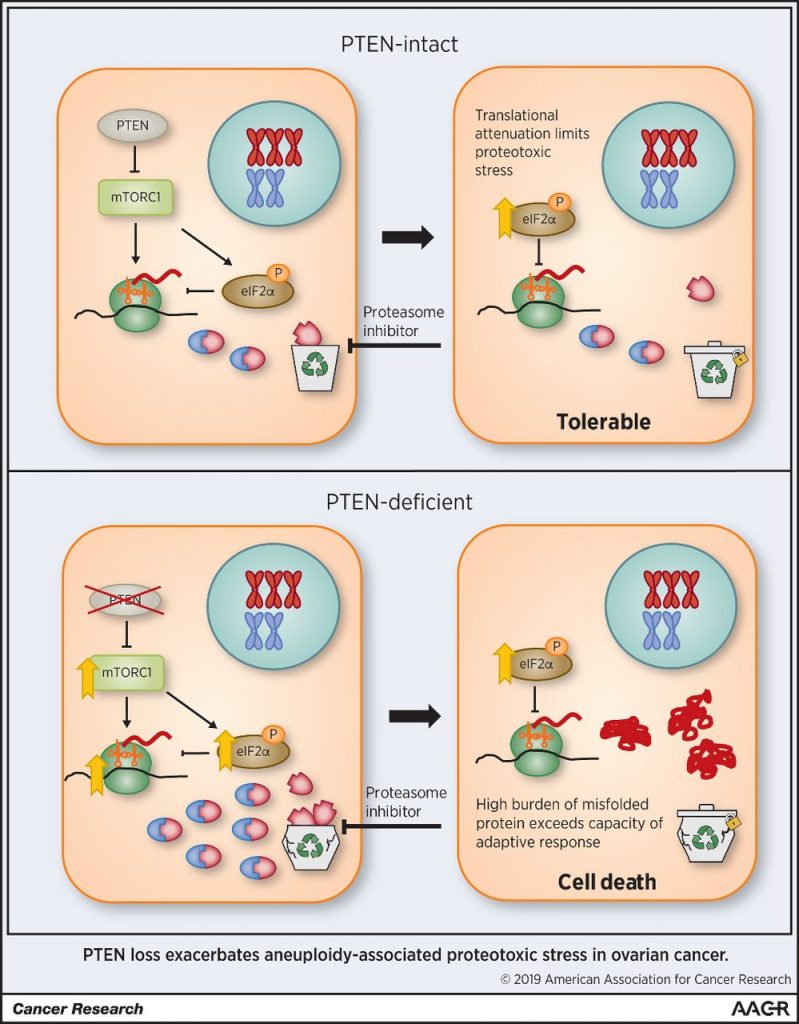 New post on&nbsp;CANCER RESEARCH Catalyst 