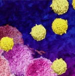 2019 in Review: Progress Across Many Areas of Cancer&nbsp;Research 