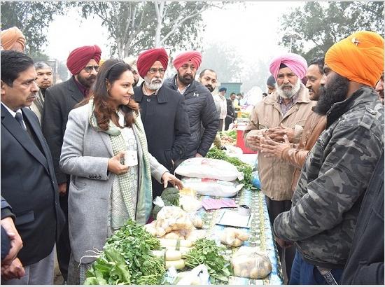 Inovtive ideas of Isha Kalia 