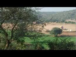 Haryana decides to develop bio-diversity park at Villager Kasan in Gurugram district