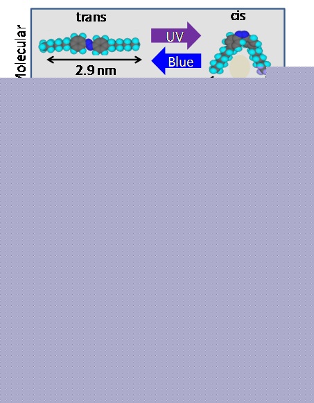 Newly discovered interaction between light and molecules can power optical devices